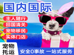 虹桥机场快递国际宠物托运 【国